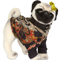 �ɰ��͸�Ȯ��Pug Dog��ë�����