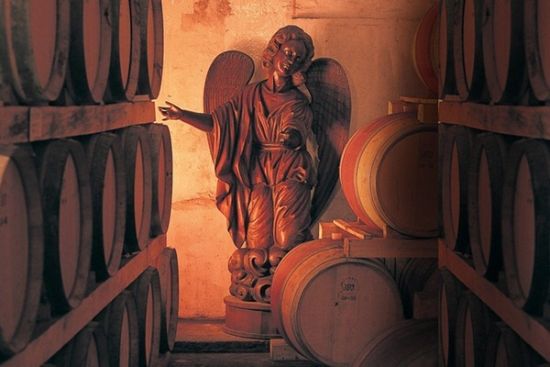 蒙特斯酒庄(Montes)酒窖里的天使雕像