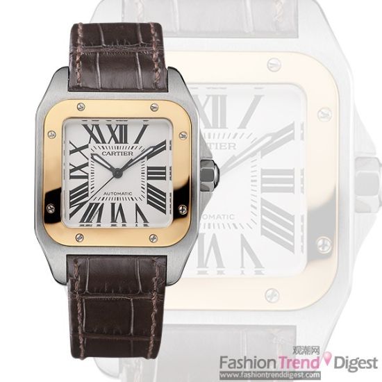 Cartier SANTOS 100