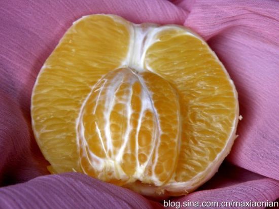 女性<em>阴蒂</em>也存在大小问题|<em>阴蒂</em>|女性|大小_新浪