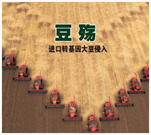 农业部批准进口3种转基因大豆