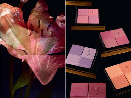 ʥYSL (Yve Saint Laurent) Jardin de Minuit (ҹ԰) 2011 ﶬױϵС֬ (YSL Blush Radiance)