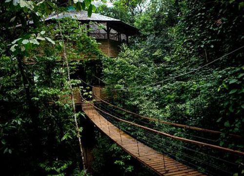 Finca Bellavista:躲避末日的雨林树屋