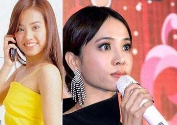 蔡依林(
