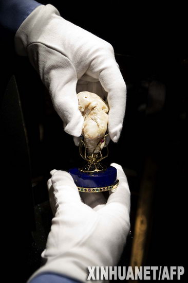 荷兰展出近120克巨型珍珠