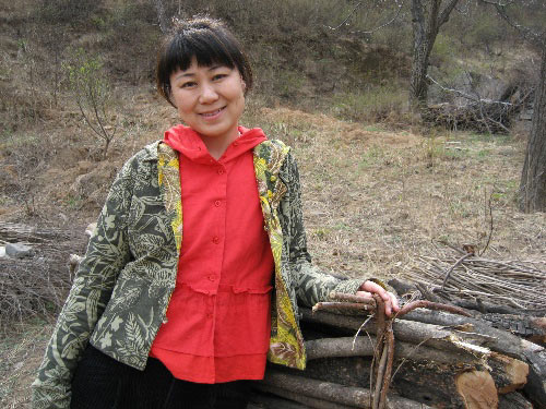 2007中国职场女性榜样评选候选人-叶丹阳(图)