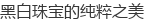�ڰ��鱦�Ĵ���֮��
