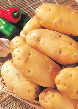 土豆营养丰富