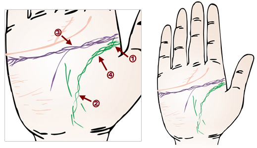 ������ʹ������