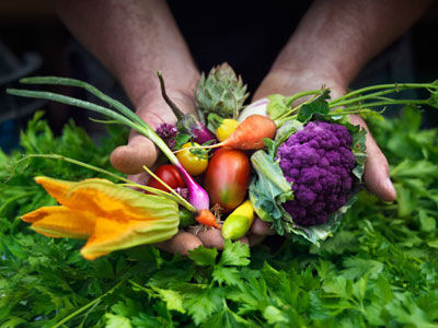 服用维C能燃烧脂肪