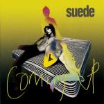 Suede־ñغϣϾñط