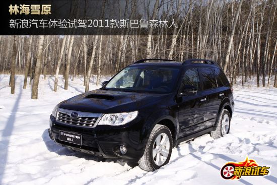�������������Լ�2011��˹��³ɭ����