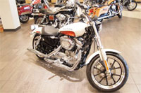 �¿���˹����ר����