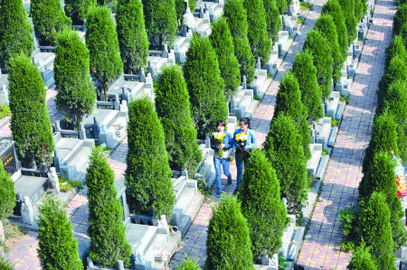 昨日,九龙陵园,市民拿着鲜花去祭奠逝去的亲人 记者 徐元宾 摄