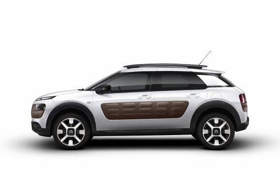 ѩC4 Cactus