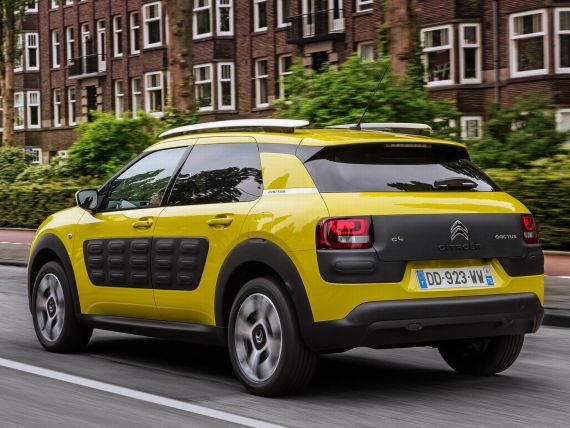 ѩC4 Cactus