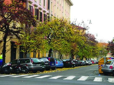 利用城市街道有序停车