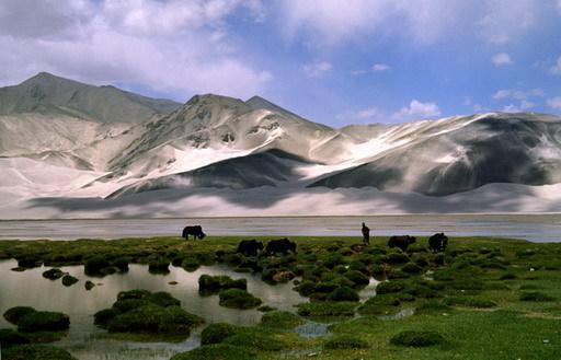 帕米尔位于新疆西南部，古代称为葱岭，向有世界屋脊之称