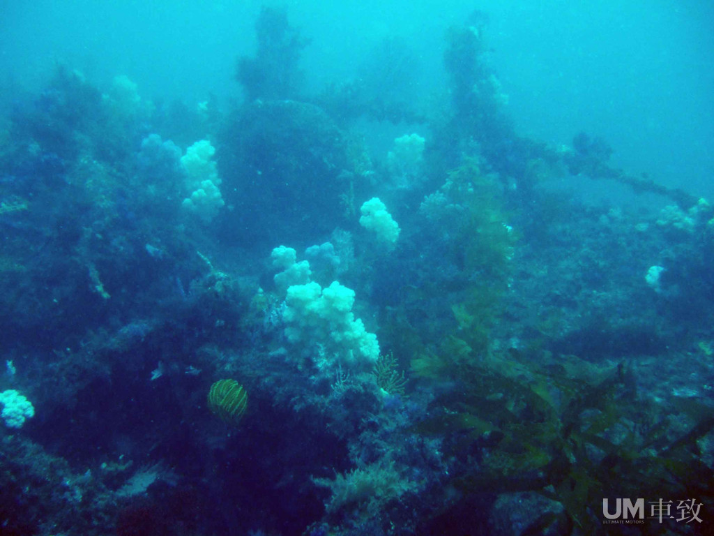 海面下的深蓝诱惑——塞班岛潜水攻略