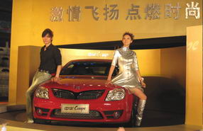 �л�COUPE���� ��11.68-16.95��Ԫ