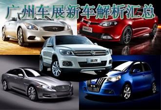 2009����ݳ�չ�ص��³���������