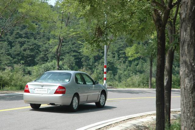 �Լ���������