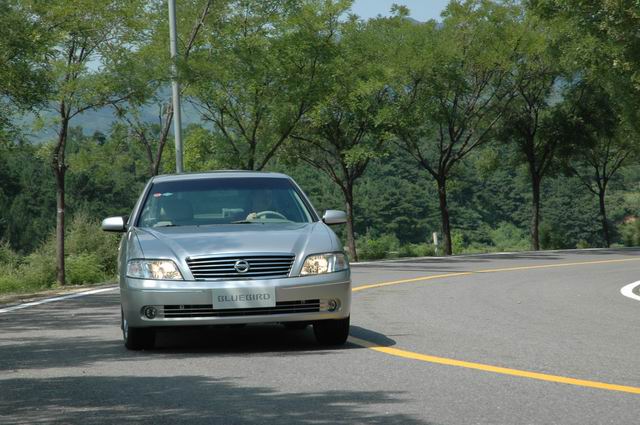 �Լ���������