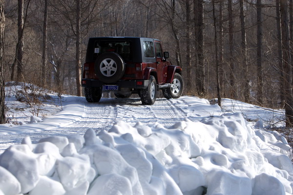 JEEP SAHARA(˫)ͼƬ