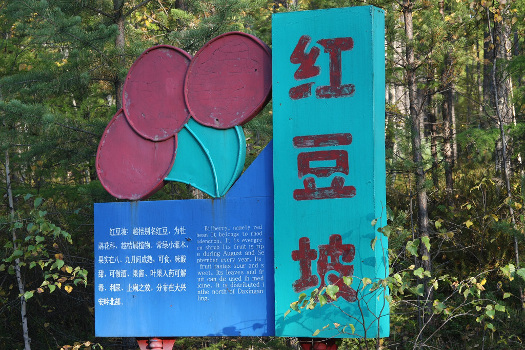 ���ɲ�ԭ·�����л���