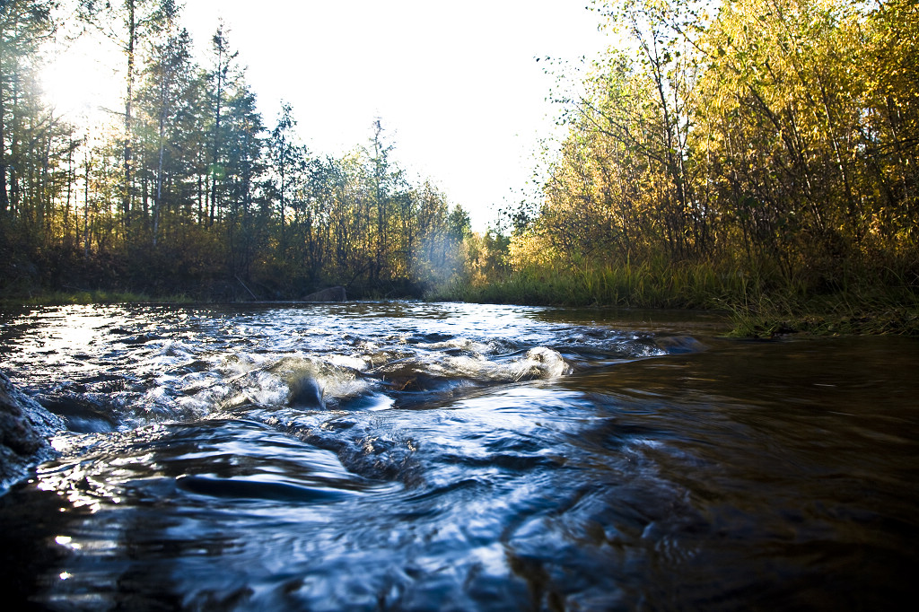 ���ɲ�ԭ·�����л���