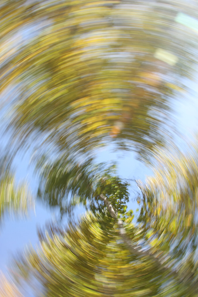 ���ɲ�ԭ·�����л���