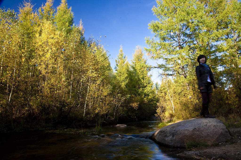 ���ɲ�ԭ·�����л���