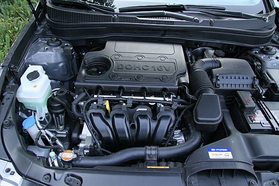 2011�����{����