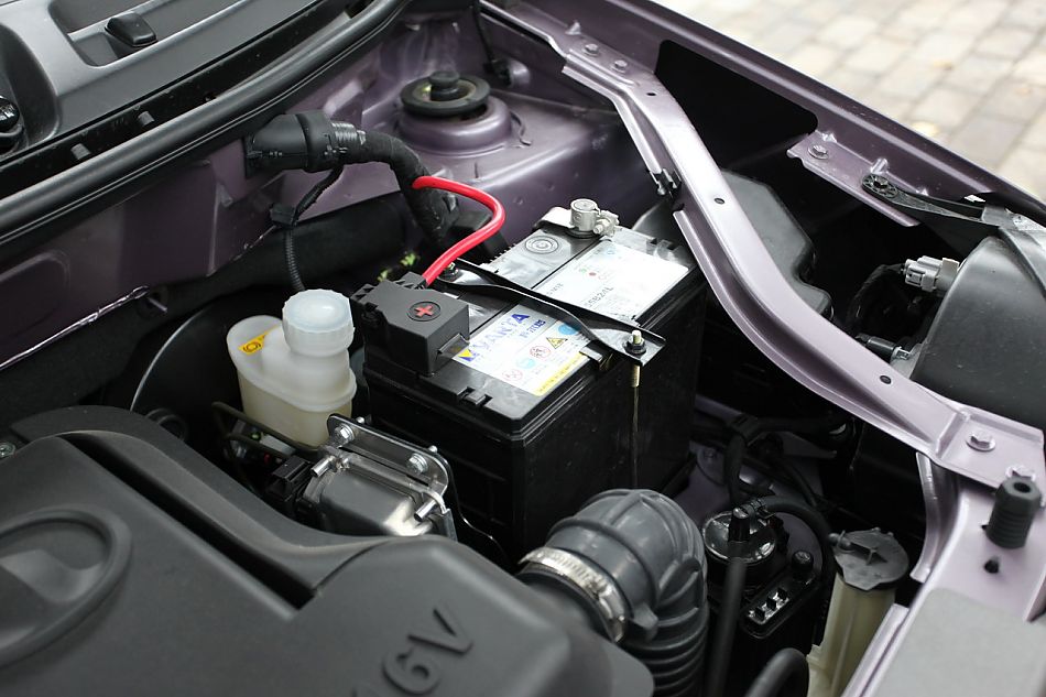 �L�������DƬ