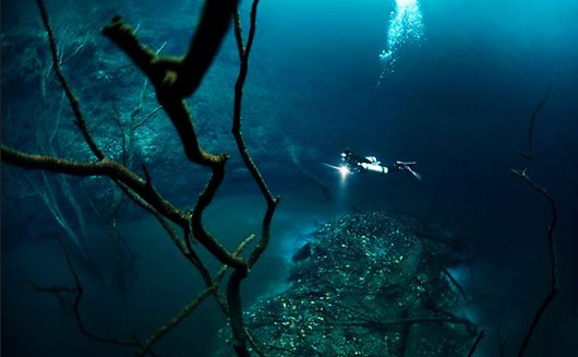 Cenote AngelitaˮºӾɫסǱˮԱӰʦ