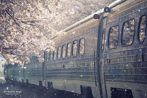 日本 日本