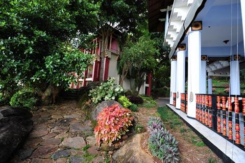 斯里兰卡-热带风情的花园姹紫嫣红