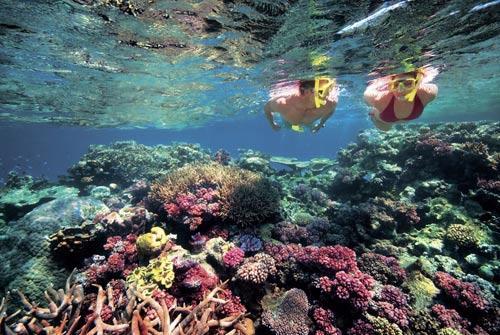 The Great Barrier Reef sea clear bottomed out, such as emerald green