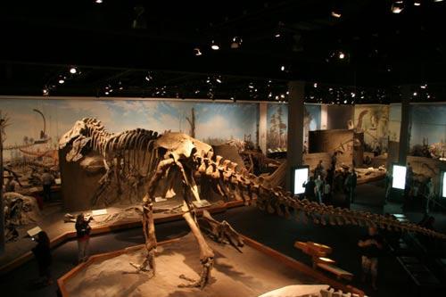 恐龙博物馆已列入联合国科教文组织世界遗产名录