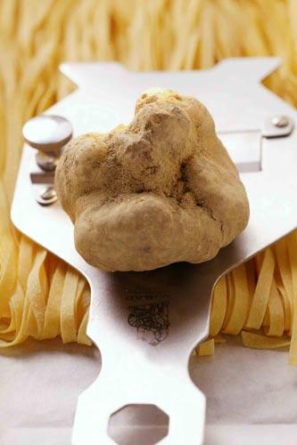 white truffle at Aria