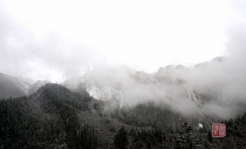ɽF