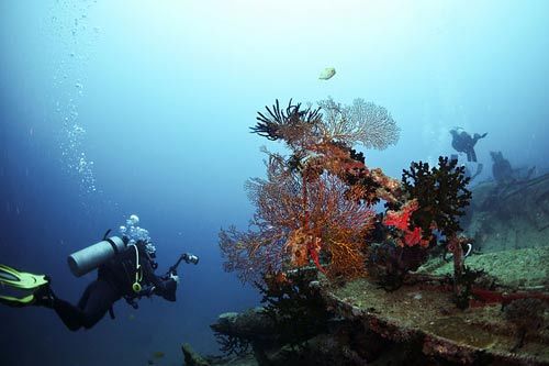 In Fiji, the underwater world