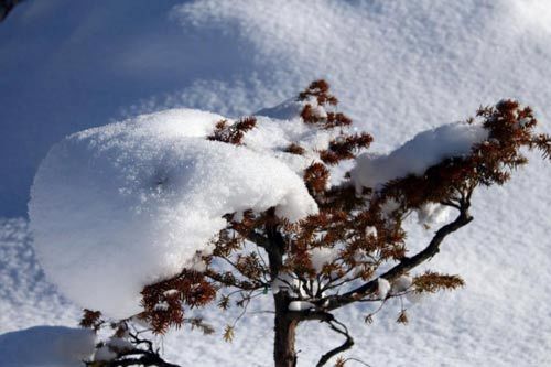 صһ픕r(sh)еİɫñ
