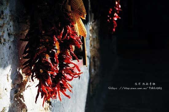 红红的辣椒、金黄的玉米此时反到成了一种装饰
