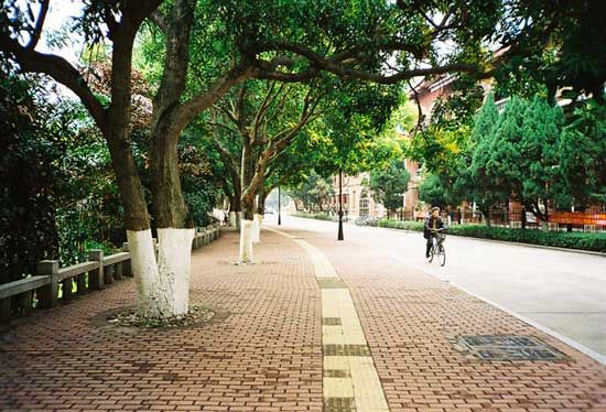 美丽的厦门大学