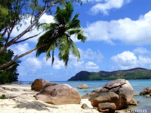 Prince William -- the Seychelles honeymoon