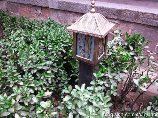 隐蔽的喇叭