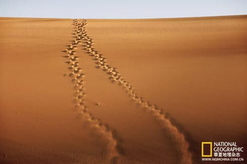 守望纳米比亚 狂风雕刻世界最高红沙丘(2)