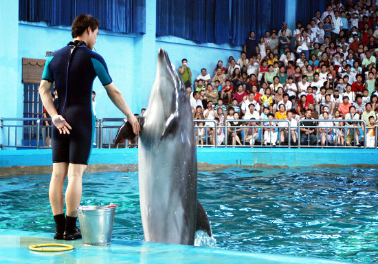 泉城海洋极地世界全新开馆