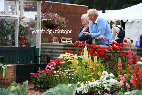 Tatton Park Flower Show